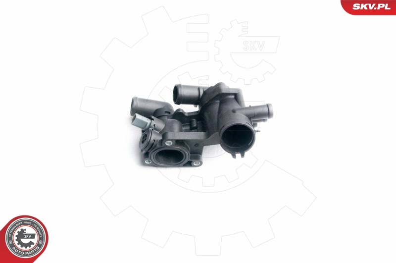 Thermostat, coolant